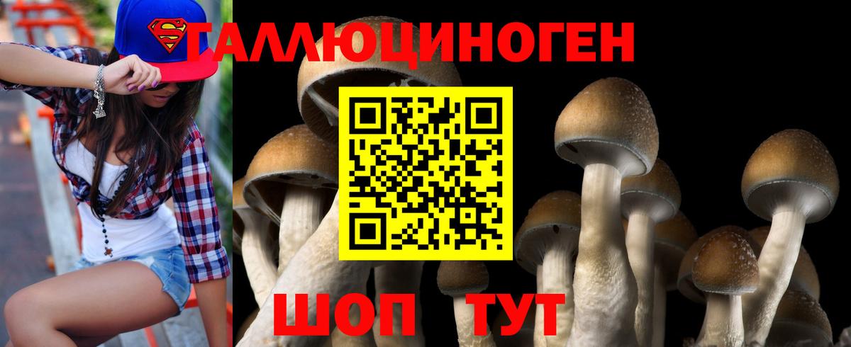 Псилоцибиновые грибы GOLDEN TEACHER Дзержинский